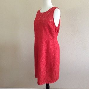J. Crew lace dress NWT size 12 color coral